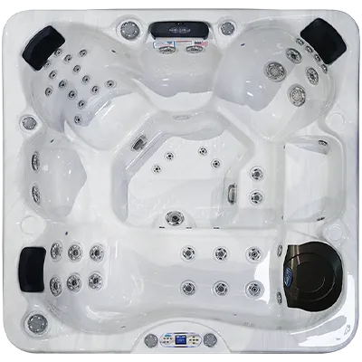 Avalon EC-849L hot tubs for sale in Rocklin